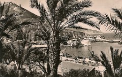 357-le Vieux Port